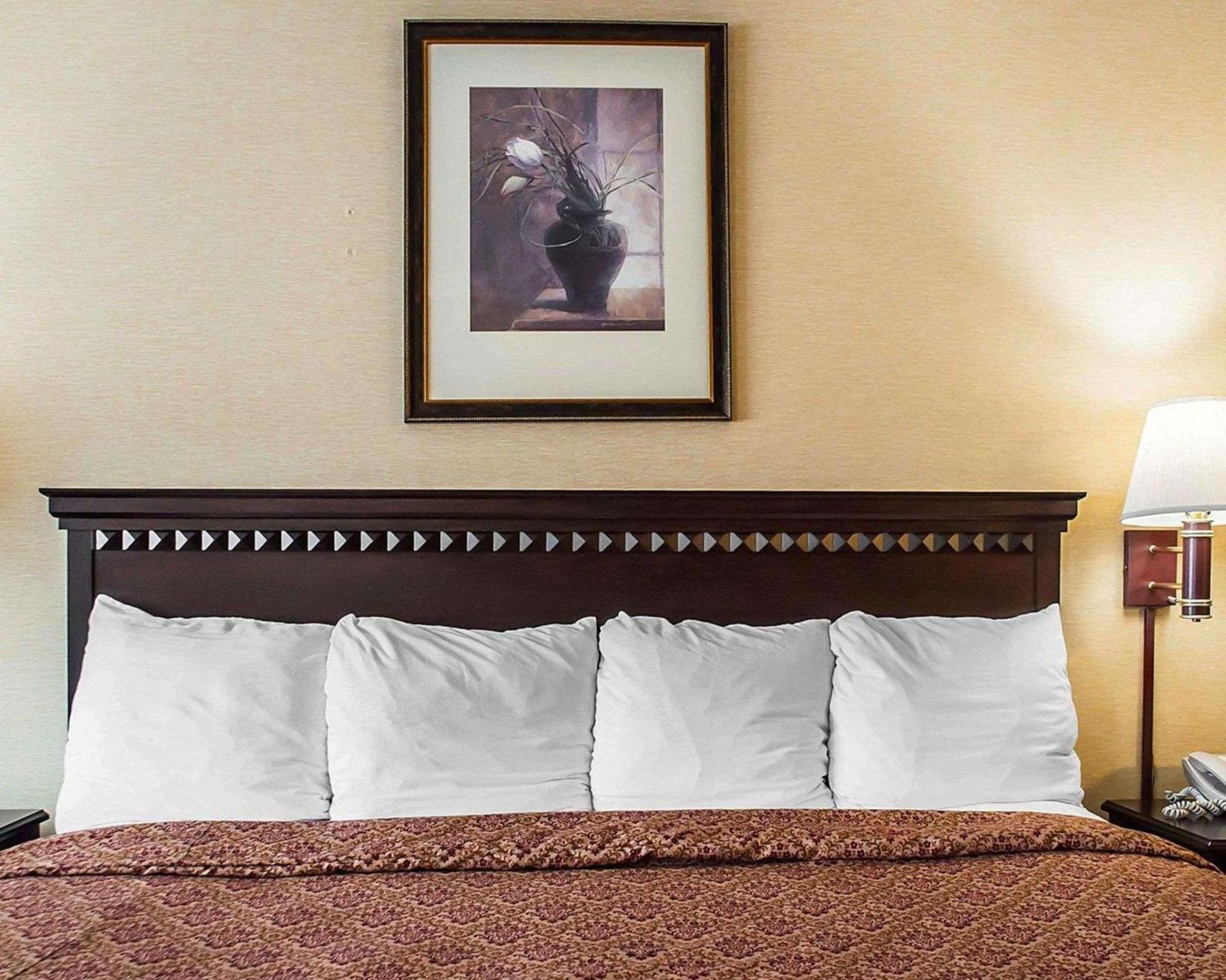Econo Lodge Elmira-Corning Fisherville Bagian luar foto